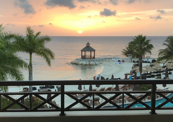 Secrets Wild Orchid