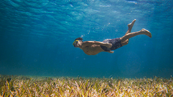 Things To Do Turks and Caicos