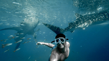 Hidden gems and must do activities Cancun