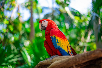 Hidden gems and must do activities Cancun